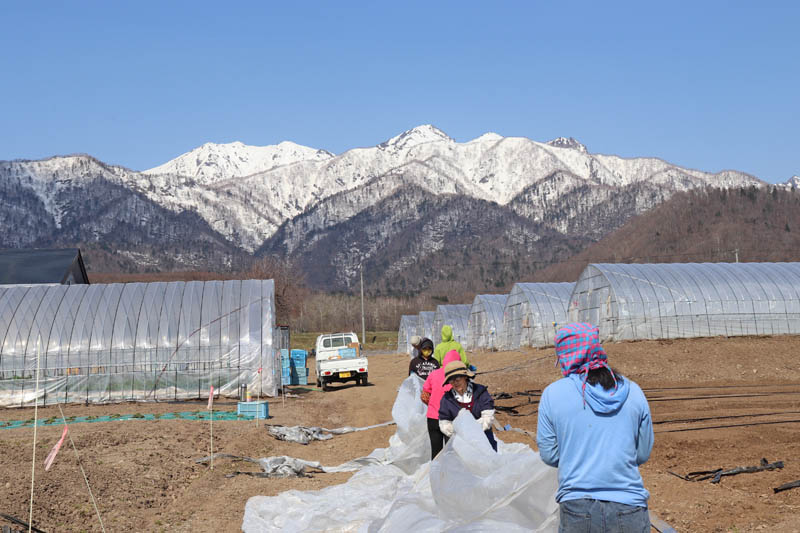 芦別岳を見ながらの作業