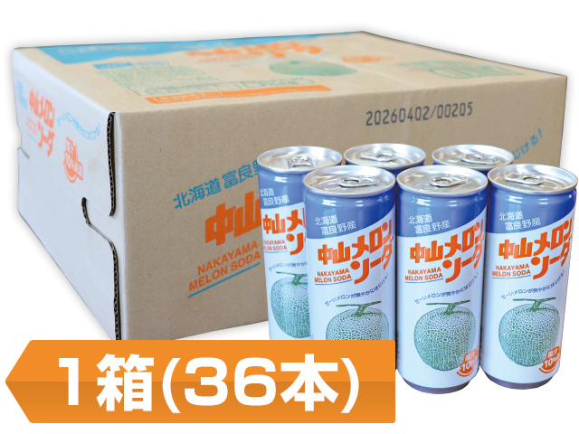 中山メロンソーダ1箱(30本)　送料込み